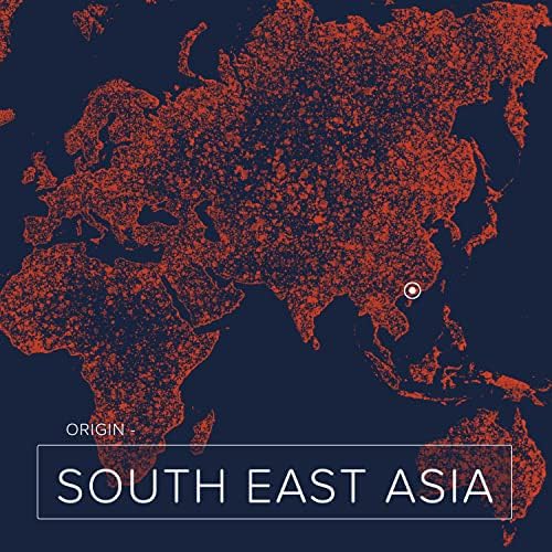 Nuance Orgogliosa Acqua Destillata Coco Bio – 450 ml – Certificata Biologica, per Pelle, Capelli e Terra Associazione Te